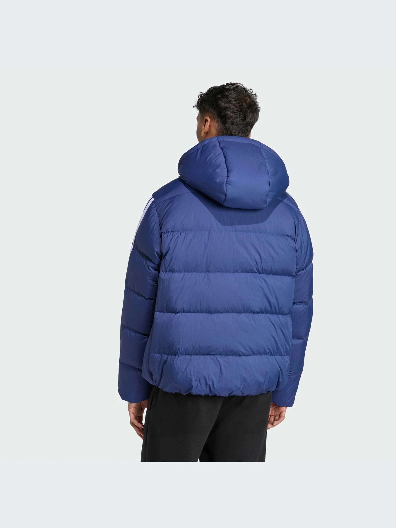 Куртки и дубленки Adidas модель JX7799-KZ Куртки и дубленки Adidas модель JX7799-KZ Фото