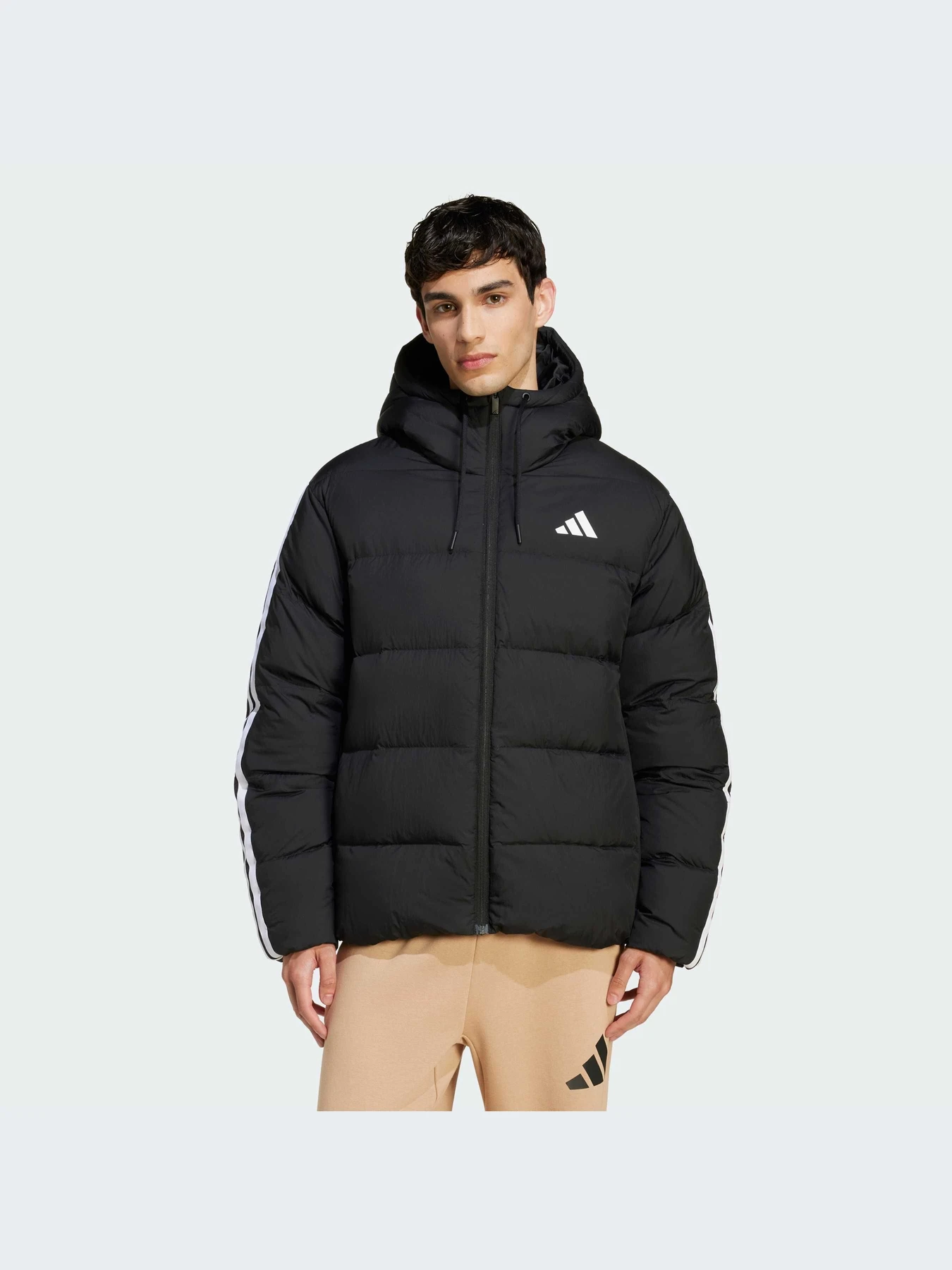 Куртки и дубленки Adidas модель JM4165-KZ Куртки и дубленки Adidas модель JM4165-KZ Фото