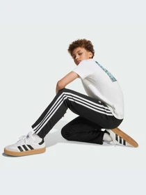 Брюки Adidas модель JV7677-KZ Фото