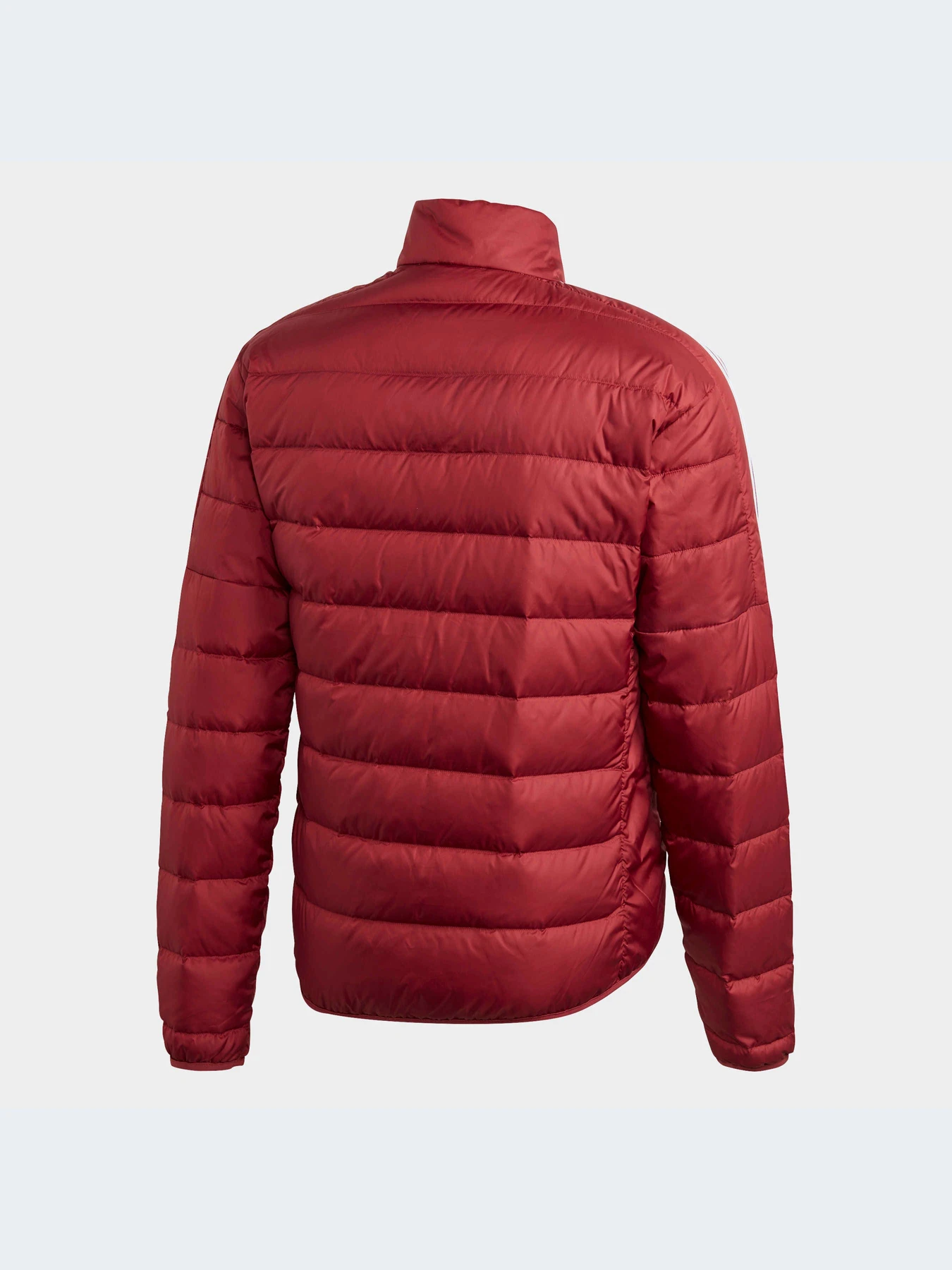Куртки и дубленки Adidas модель GH4595-KZ Куртки и дубленки Adidas модель GH4595-KZ Фото