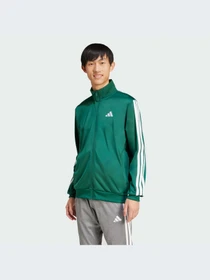 Худи и свитшоты Adidas модель JI8821-KZ Фото