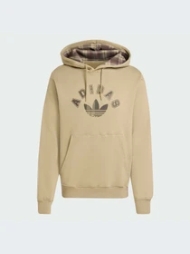 Худи и свитшоты Adidas Graphics модель JV7749-KZ Фото