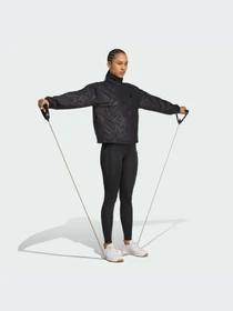Брюки Adidas Clima модель JW7570-KZ Фото