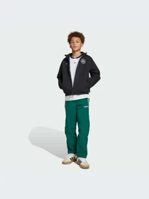 Брюки Adidas модель JW9120-KZ Фото