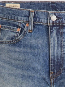 Джинсы Levi's модель 28833;1422 Фото