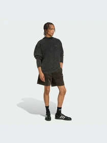 Худи и свитшоты Adidas модель JX1588-KZ Фото