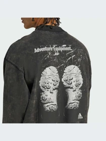 Худи и свитшоты Adidas модель JX1588-KZ Фото
