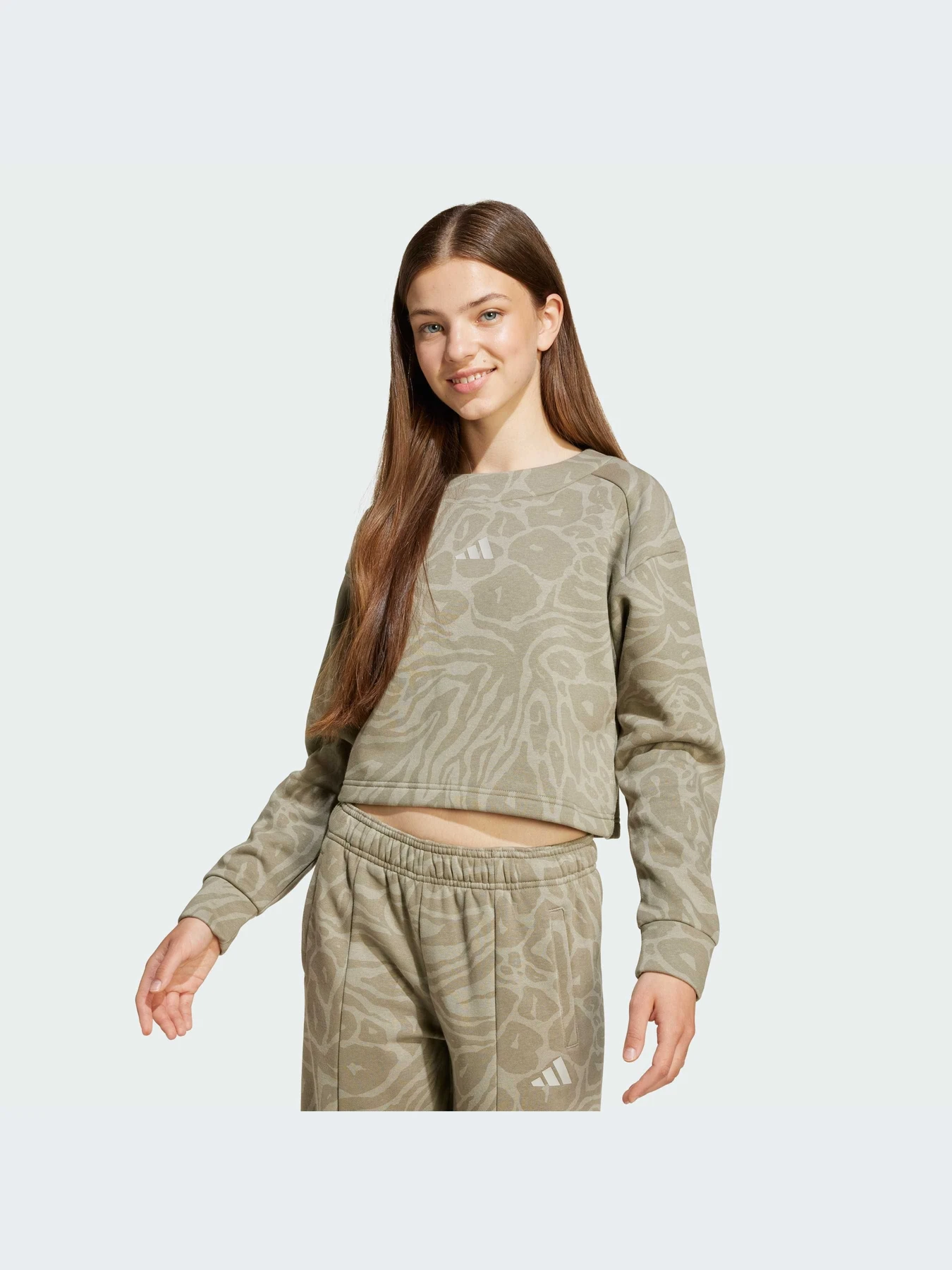 Худи и свитшоты Adidas Icons модель JW7543-KZ Худи и свитшоты Adidas Icons модель JW7543-KZ Фото