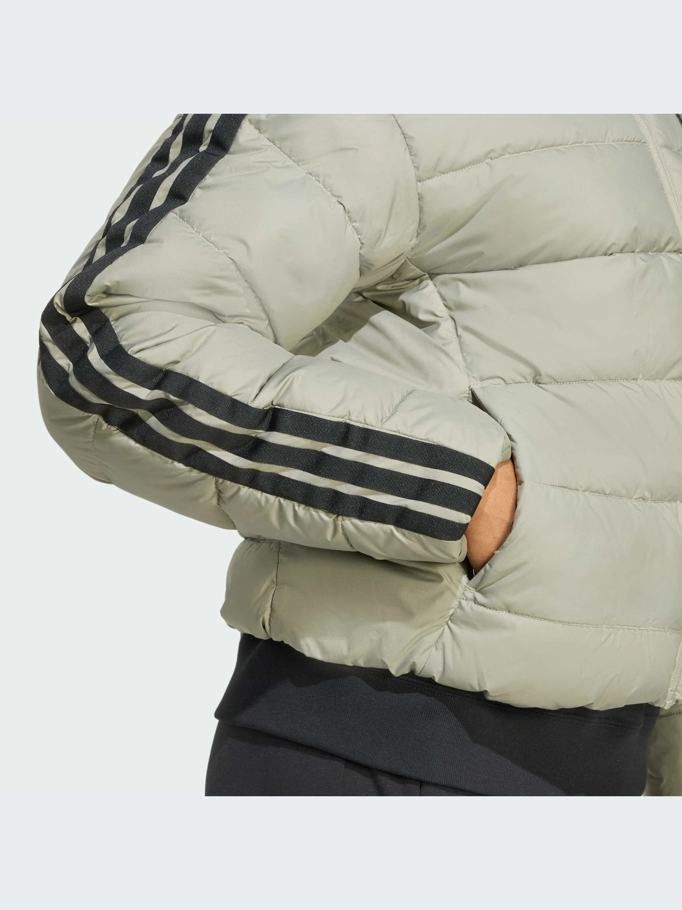 Куртки и дубленки Adidas модель JX7809-KZ Куртки и дубленки Adidas модель JX7809-KZ Фото