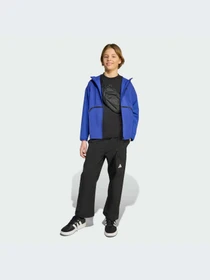 Брюки Adidas модель JM1682-KZ Фото