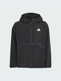 Худи и свитшоты Adidas модель JM1681-KZ Фото
