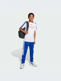 Брюки Adidas Tiro модель JW5106-KZ Фото
