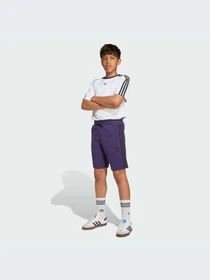 Шорты Adidas Adicolor модель JV8633-KZ Фото