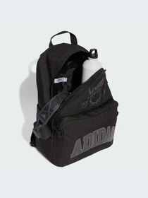 Рюкзаки Adidas Graphics модель IX6832-KZ Фото