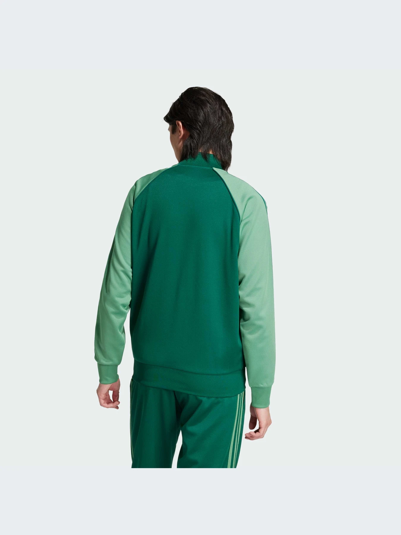 Худи и свитшоты Adidas Adicolor модель IY8731-KZ Худи и свитшоты Adidas Adicolor модель IY8731-KZ Фото