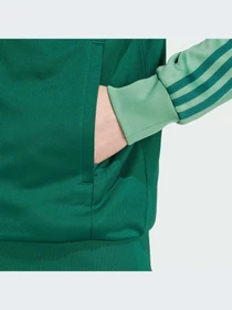 Худи и свитшоты Adidas Adicolor модель IY8731-KZ Фото