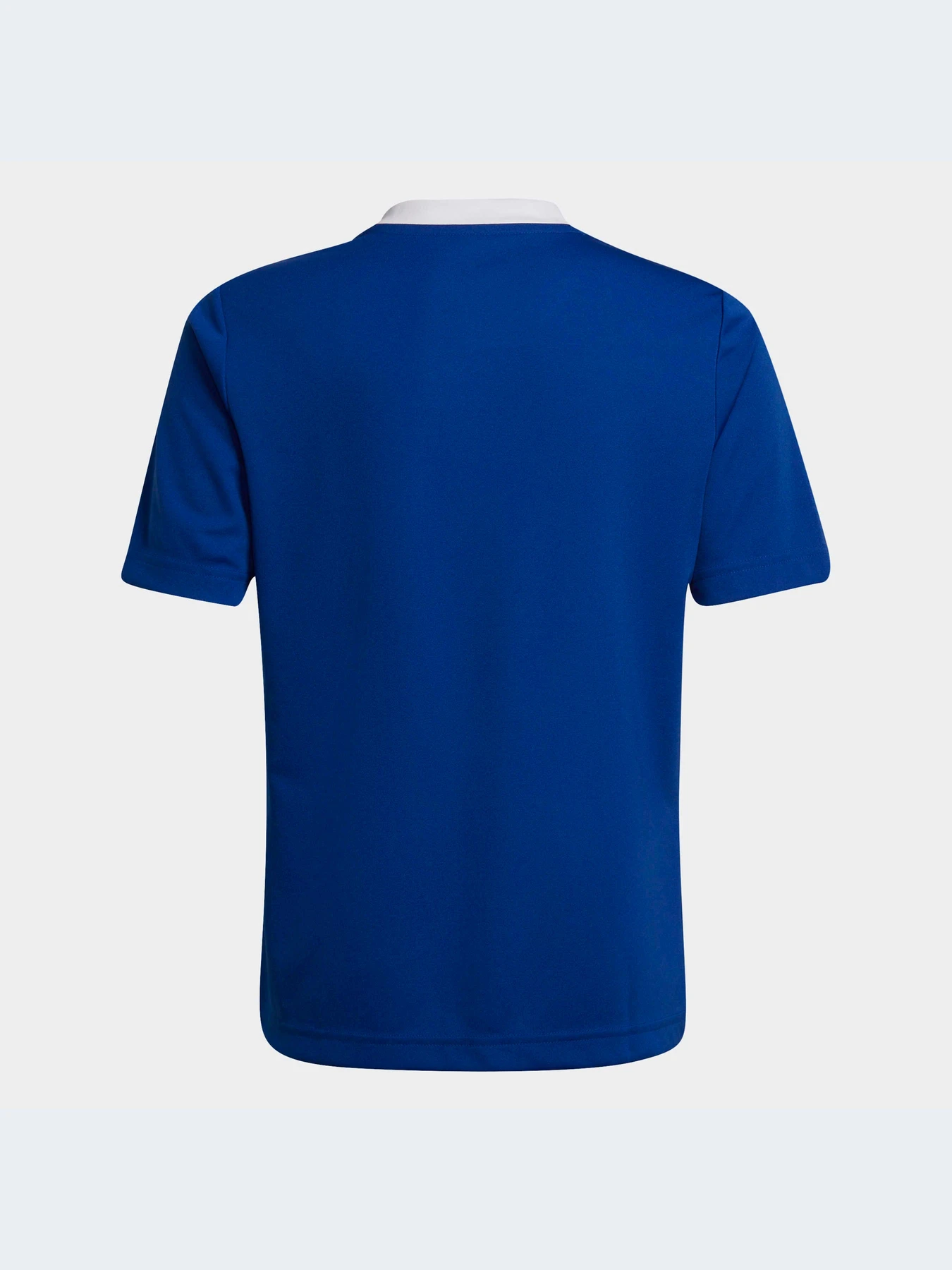 Футболки и поло Adidas модель HG3948-KZ Футболки и поло Adidas модель HG3948-KZ Фото