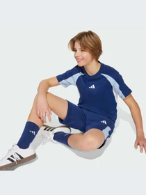 Шорты Adidas модель JI6232-KZ Фото