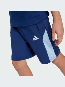 Шорты Adidas модель JI6232-KZ Фото