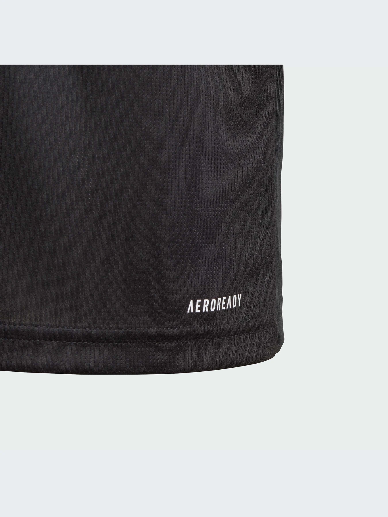 Футболки и поло Adidas Clima модель IA3020-KZ Футболки и поло Adidas Clima модель IA3020-KZ Фото