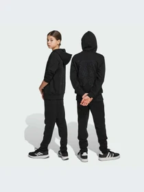 Брюки Adidas модель JN2147-KZ Фото
