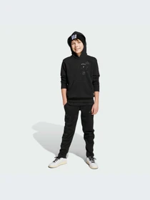 Брюки Adidas модель JN2147-KZ Фото