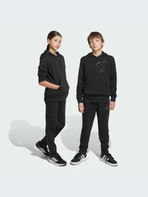 Брюки Adidas модель JN2147-KZ Фото
