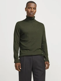 Худи и свитшоты JACK & JONES модель 12157417_KombuGreen Фото