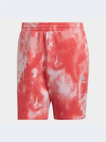Шорты Adidas Adicolor модель HE9434-KZ Фото