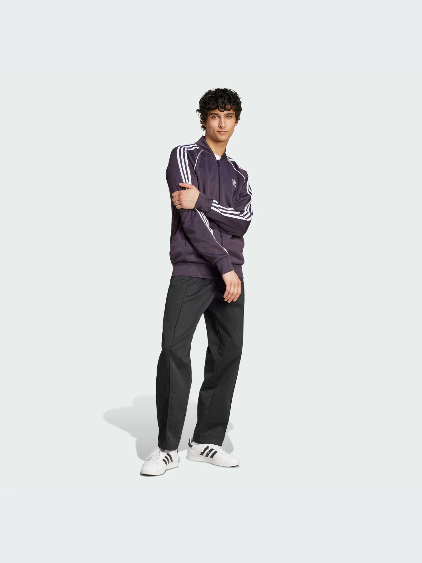 Худи и свитшоты Adidas Adicolor модель IY9854-KZ Худи и свитшоты Adidas Adicolor модель IY9854-KZ Фото