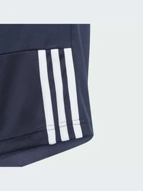 Шорты Adidas модель IN0649-KZ Фото