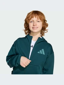 Худи и свитшоты Adidas ZNE модель JW2425-KZ Фото