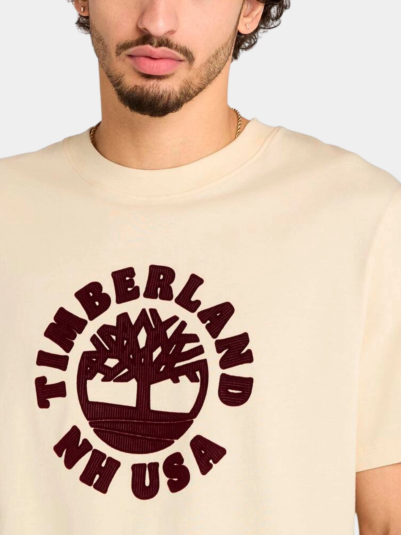 Футболки и поло Timberland модель TB0A5MJ2EFL Футболки и поло Timberland модель TB0A5MJ2EFL Фото