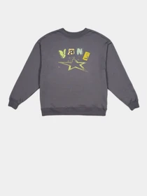 Худи и свитшоты Vans модель VN000Q341O71 Фото