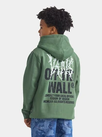 Худи и свитшоты Vans модель VN000PX3EN61 Фото