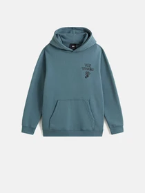 Худи и свитшоты Vans модель VN000PX9RV21 Фото