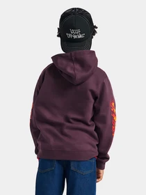 Худи и свитшоты Vans модель VN000PXEEMS1 Фото