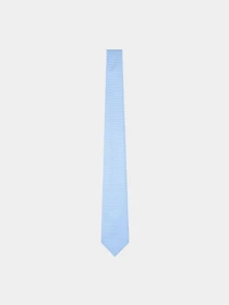 Галстуки и воротнички Emporio Armani модель EM001344-TE16524-F9058 Фото