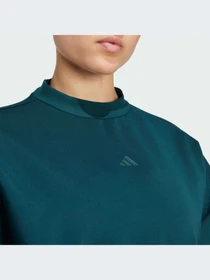 Худи и свитшоты Adidas модель JM4489-KZ Фото