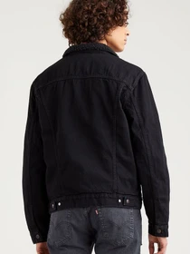 Куртки и дубленки Levi's модель 16365;0100 Фото