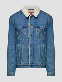 Куртки и дубленки Levi's модель 16365-0128 Фото