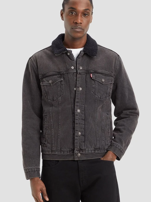 Күрткелер мен тондар Levi's үлгі 16365-0241 Фото