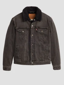 Куртки и дубленки Levi's модель 16365-0241 Фото