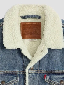 Куртки и дубленки Levi's модель 16365-0292 Фото