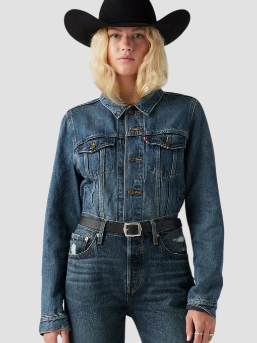Куртки и дубленки Levi's модель 29945-0063 Фото