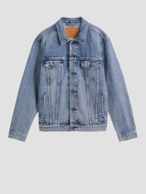 Куртки и дубленки Levi's модель 72334-0574 Фото