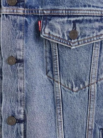 Куртки и дубленки Levi's модель 72334-0574 Фото