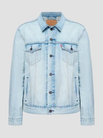 Куртки и дубленки Levi's модель 72334-0599 Фото