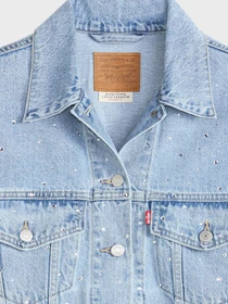 Куртки и дубленки Levi's модель A1743-0145 Фото