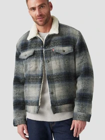 Куртки и дубленки Levi's модель A6027-0006 Фото